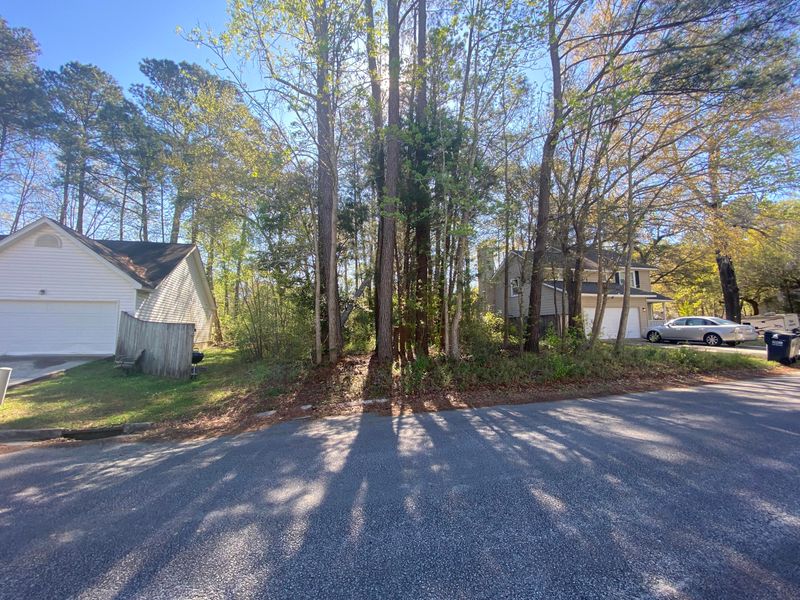 121 Lewisfield Dr, Charleston, SC 29418