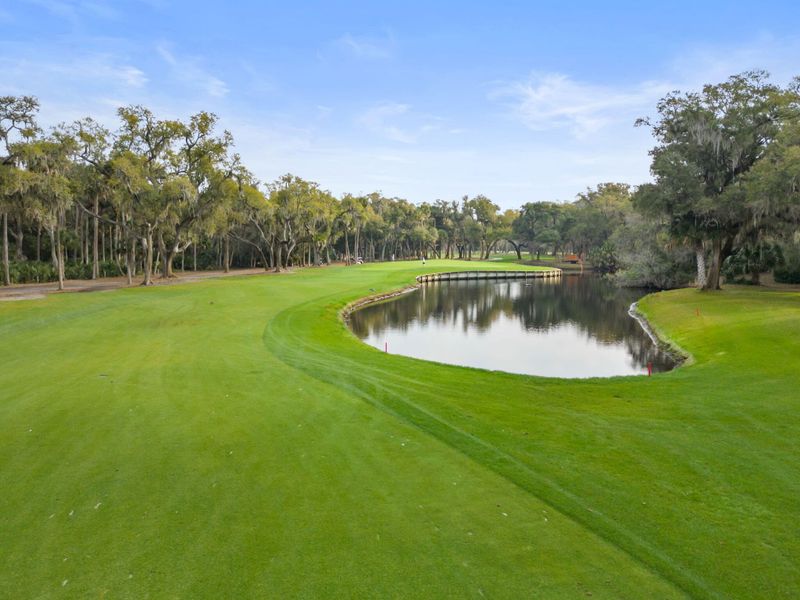 1144 Summerwind Ln, Seabrook Island, SC 29455