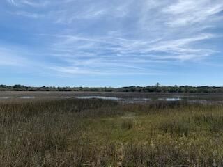 7737 Blue House Ln, Edisto Island, SC 29438