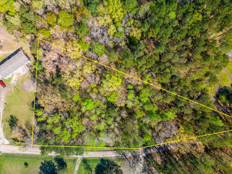 0 Flatbush Ln, Pinopolis, SC 29469