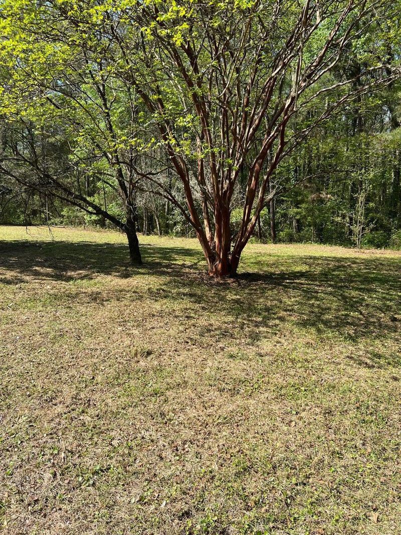 166 Fishburn Rd, Ridgeville, SC 29472