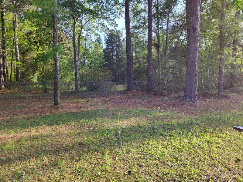 113 Hammock St, Summerville, SC 29483