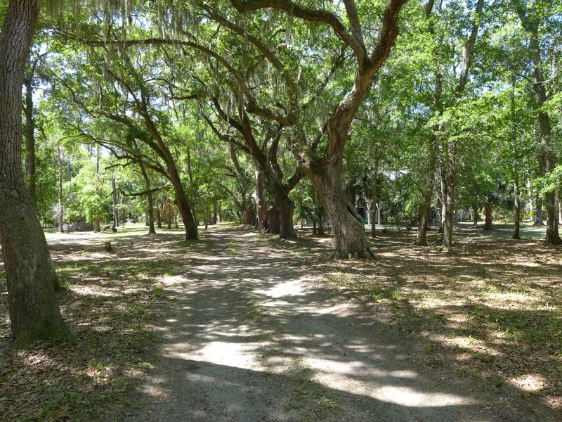 8996 Palmetto Rd, Edisto Island, SC 29438