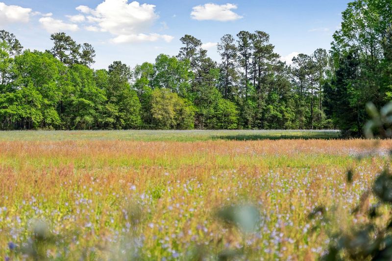 156 Miller Ln, Saint Stephen, SC 29479