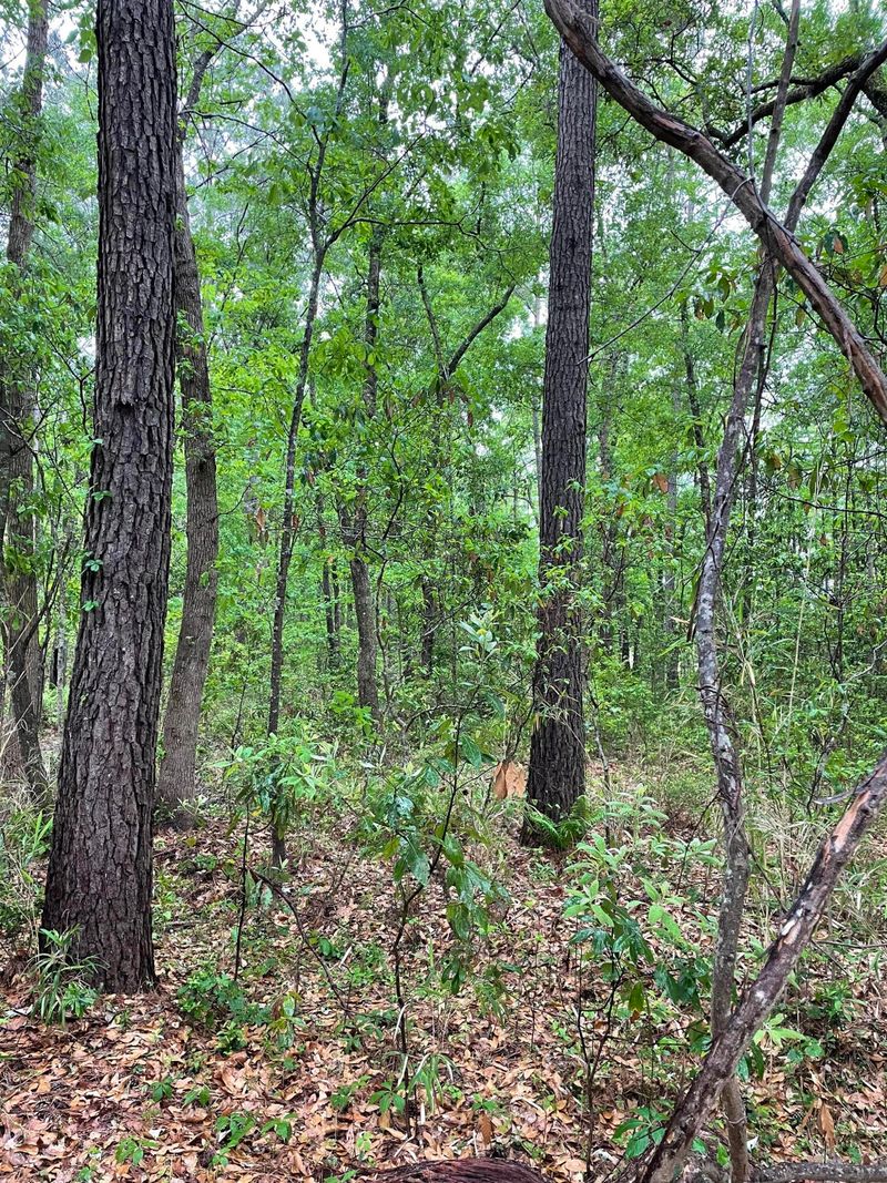 0 Corbetts Al Lot 10, Johns Island, SC 29455