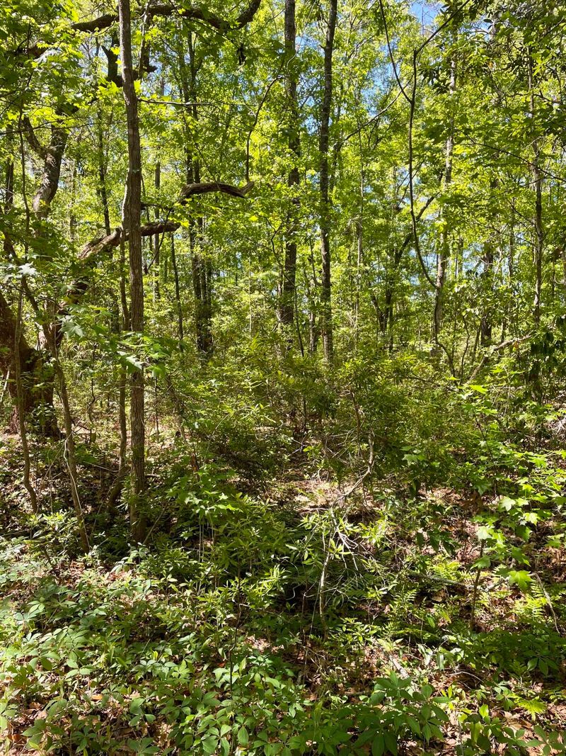 0 Corbetts Al Lot 10, Johns Island, SC 29455