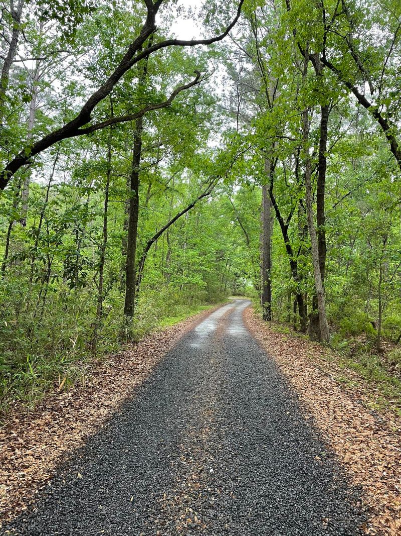 0 Corbetts Al Lot 10, Johns Island, SC 29455