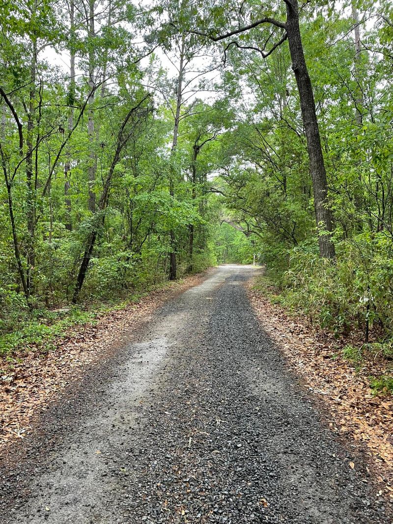 0 Corbetts Al Lot 10, Johns Island, SC 29455