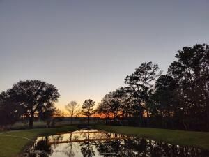 1009 Saltwater Cir, Johns Island, SC 29455