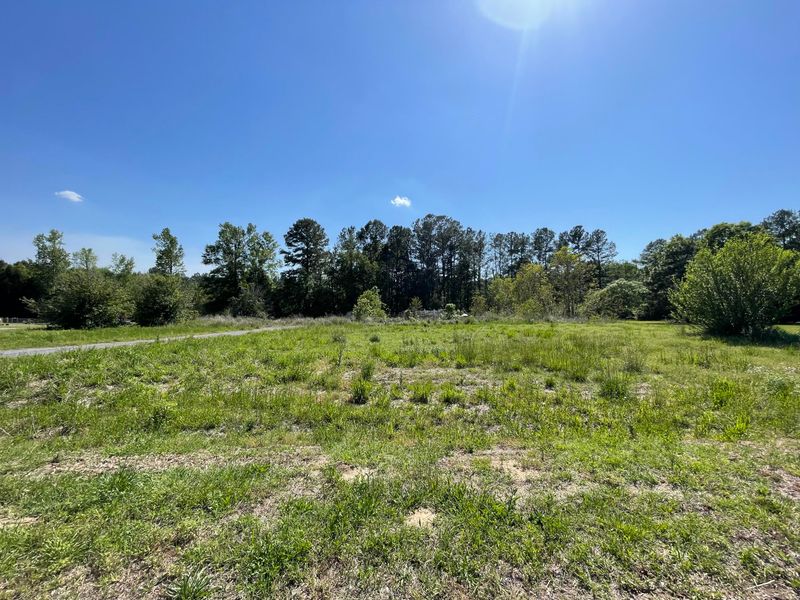 113 W Cotton Patch Ln, Bonneau, SC 29431