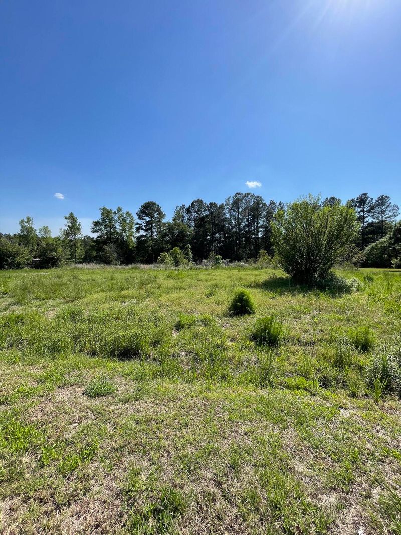113 W Cotton Patch Ln, Bonneau, SC 29431