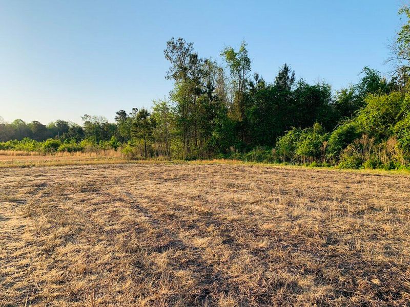 0 Benchwood Dr, Saint George, SC 29477