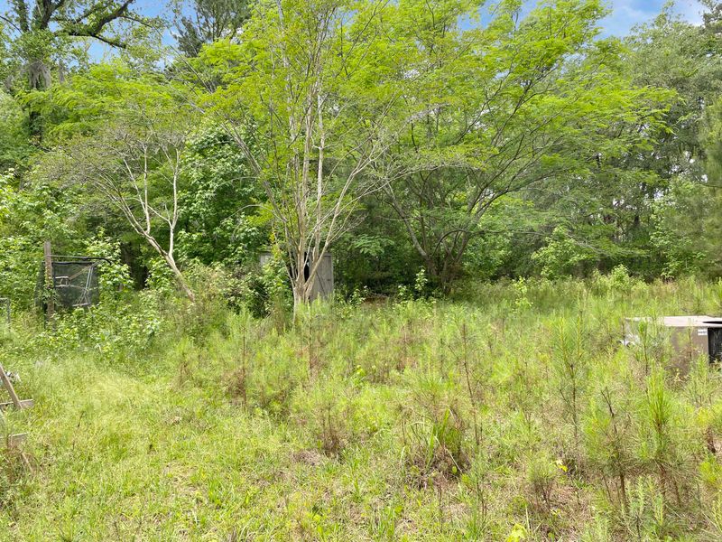 542 Bertha Ln, Huger, SC 29450