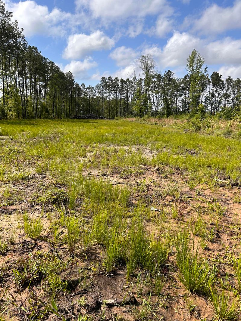 1085 Whitehouse Rd, Summerville, SC 29486
