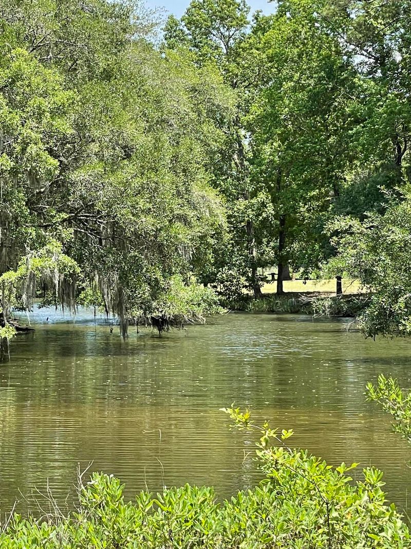 0 Acorn Ln, Meggett, SC 29449