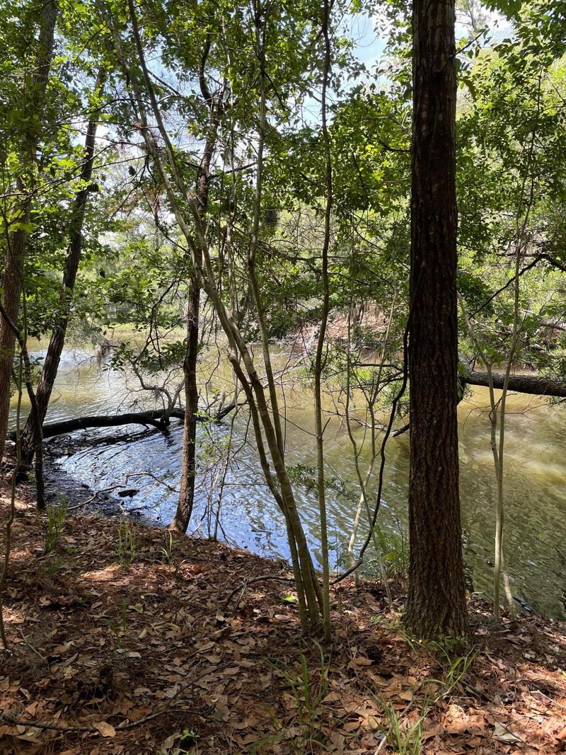 0 Acorn Ln, Meggett, SC 29449