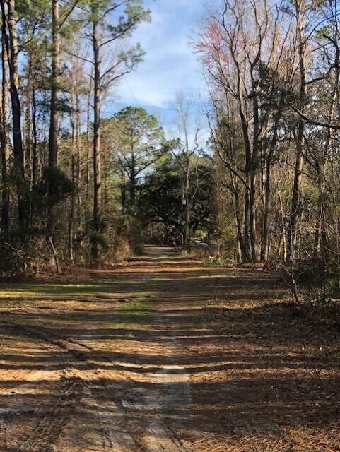 2 Milcrest Dr, Awendaw, SC 29429