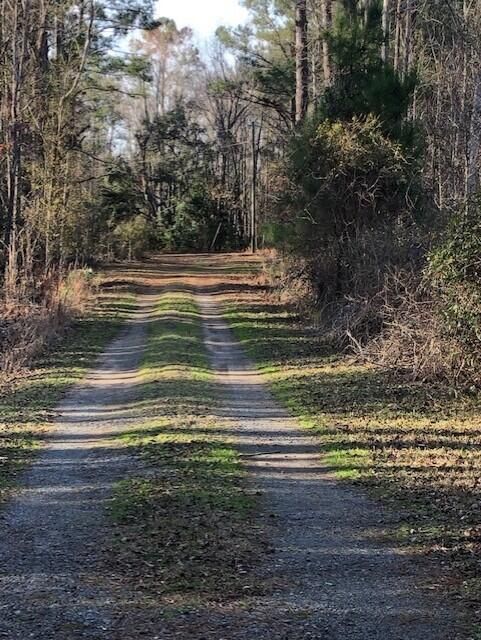 3 Milcrest Dr, Awendaw, SC 29429