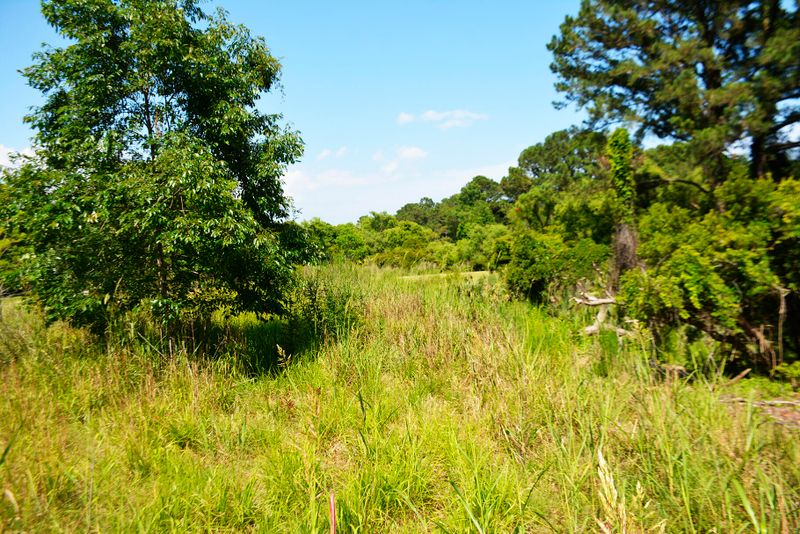 48 Seaside Ln Lot 48, Edisto Island, SC 29438