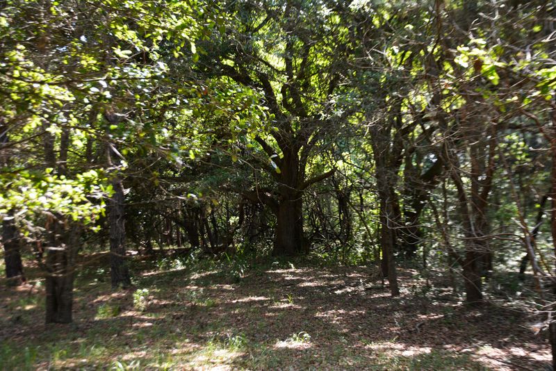 48 Seaside Ln Lot 48, Edisto Island, SC 29438