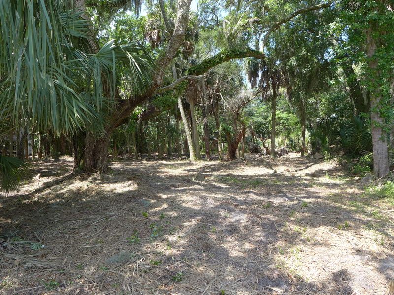 3412 Myrtle St, Edisto Island, SC 29438