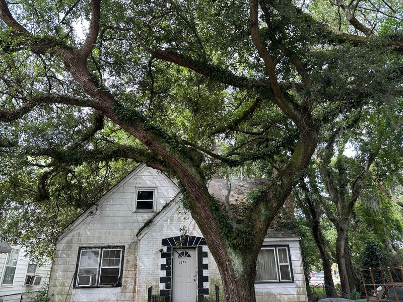3375 Apache St, North Charleston, SC 29405
