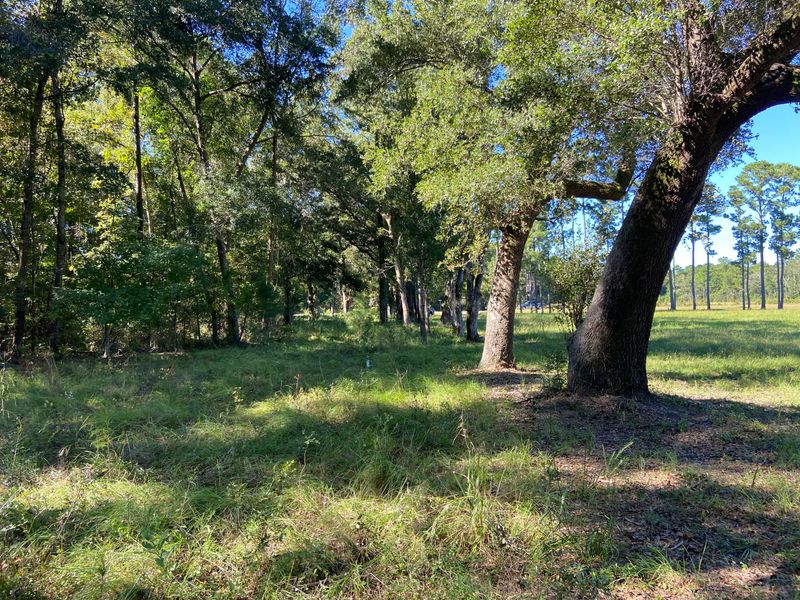 6345 N Highway 17, Awendaw, SC 29429
