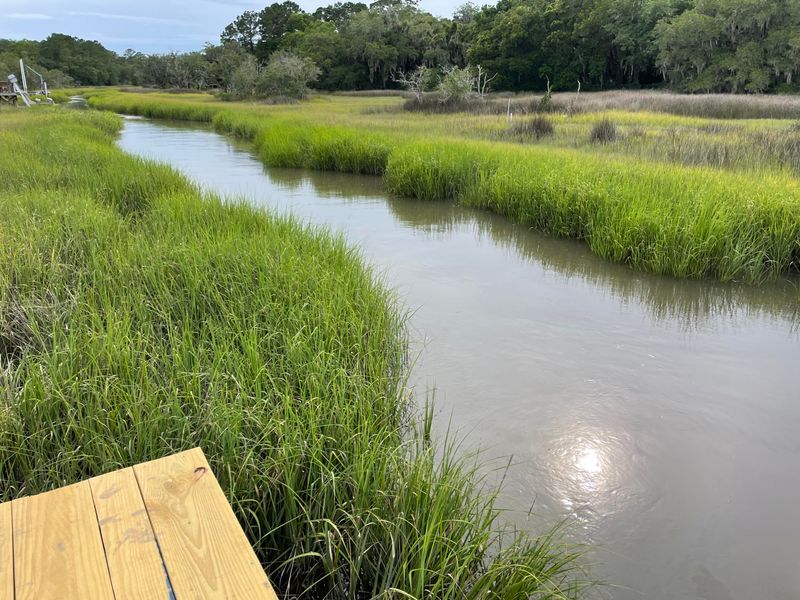 2670 Burden Creek Rd, Johns Island, SC 29455