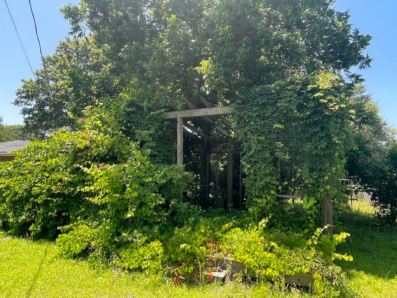 1081 Hickory St, Saint Stephen, SC 29479