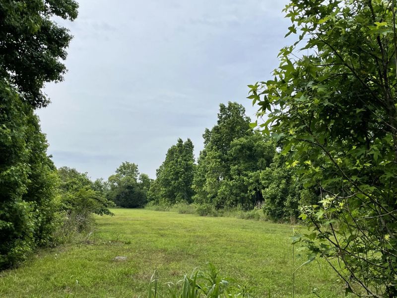 0 Church Flats Rd, Meggett, SC 29449