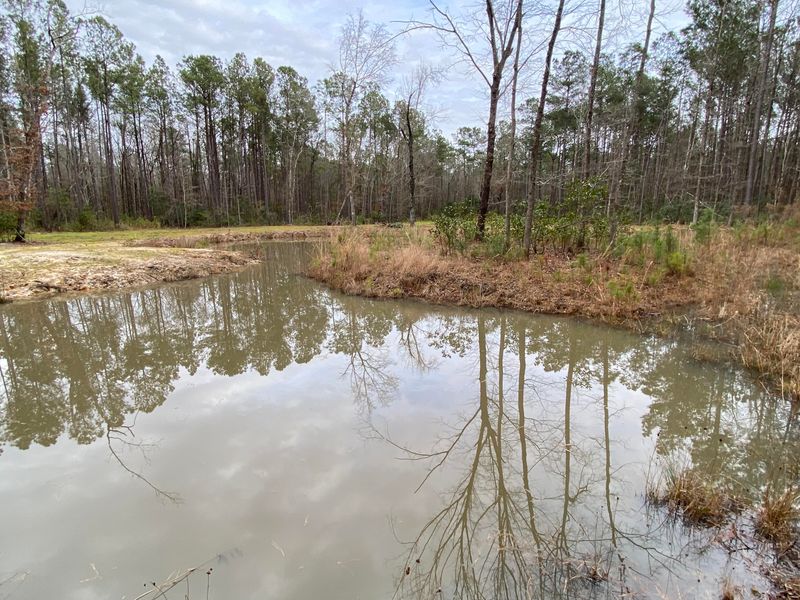 0 Miss Kitty Ln, Moncks Corner, SC 29461