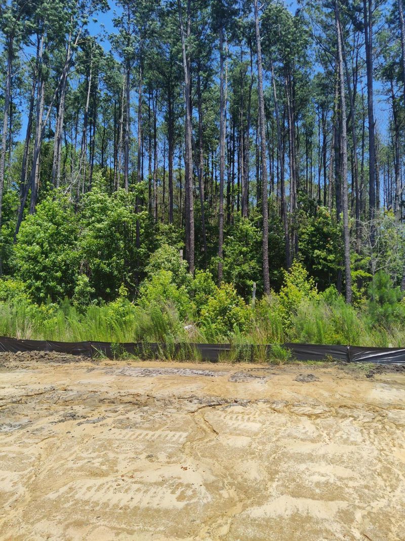 1262 Locals St, Summerville, SC 29485