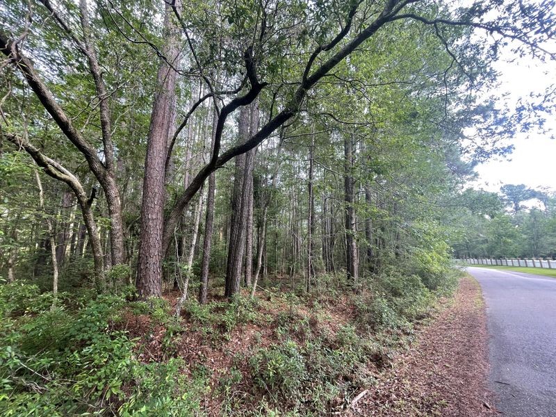 110 Kimberwicke Dr, Summerville, SC 29483