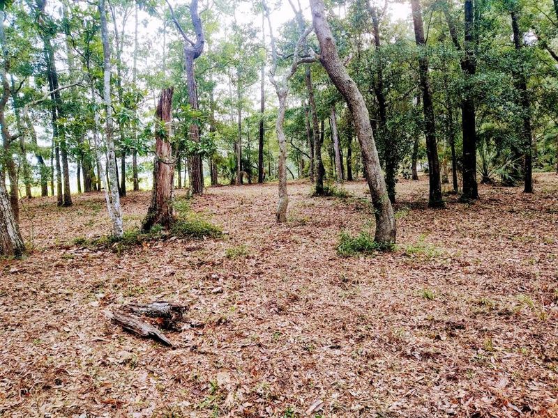 8707 Middleton Point Ln, Edisto Island, SC 29438