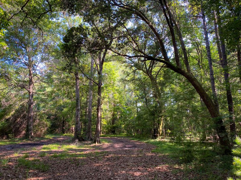2871 Edenvale Rd, Johns Island, SC 29455