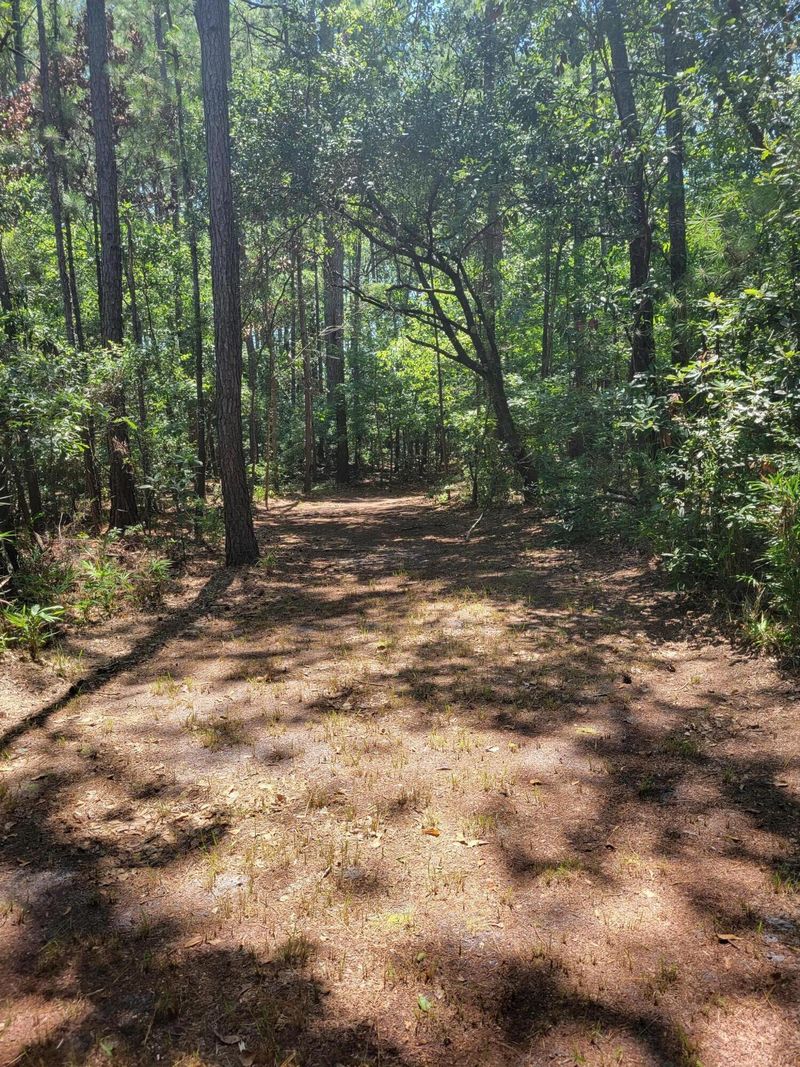7991 Little Britton Rd, Meggett, SC 29449