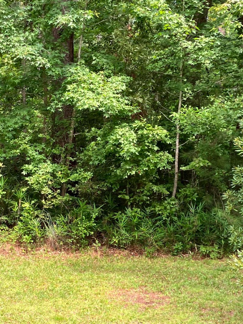 231 Deer Ridge Ct, Huger, SC 29450