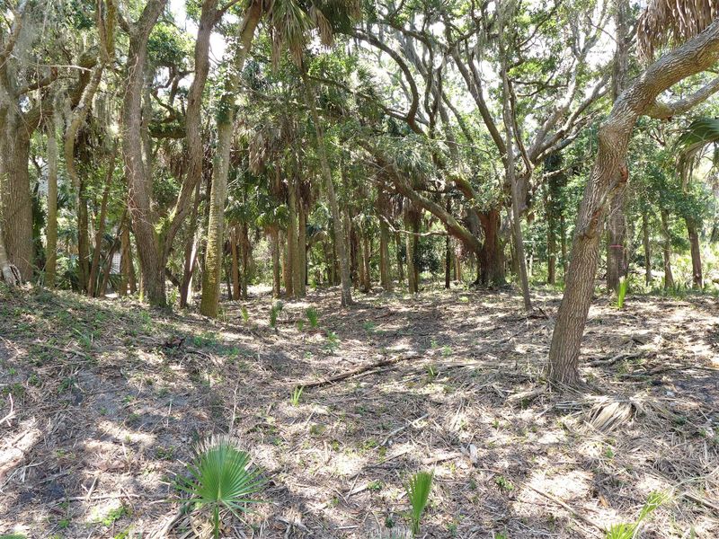 3410 Myrtle St, Edisto Island, SC 29438