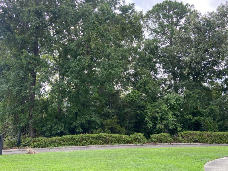 1117 Lands End Dr, Hanahan, SC 29410