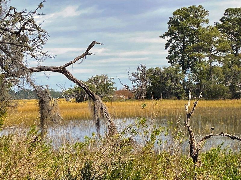 2 Long Island Rd, Meggett, SC 29449