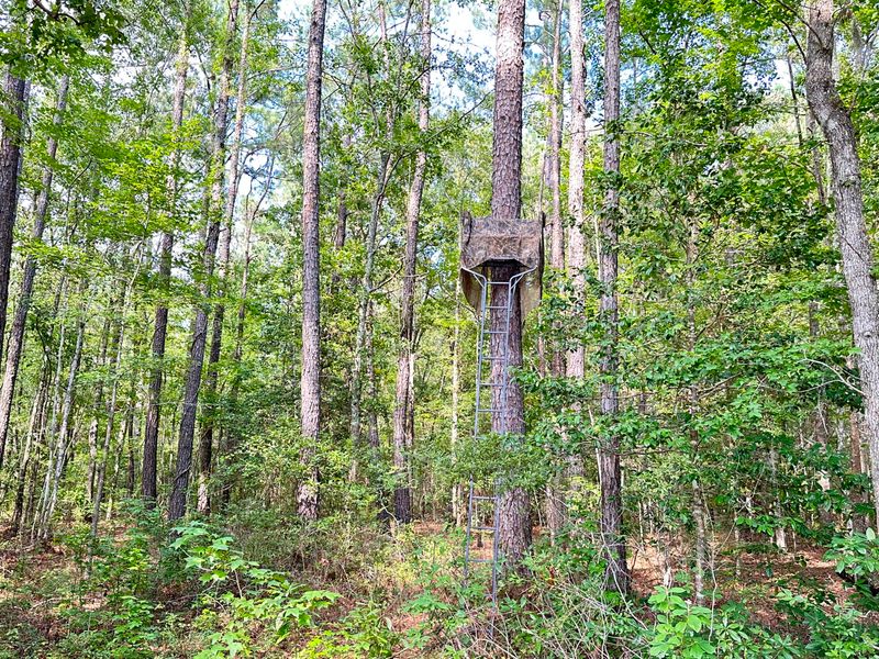 00 Heaven Dr, Jamestown, SC 29453