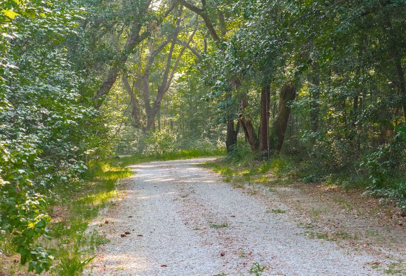 2744 Samuel Gibbs Rd, Wadmalaw Island, SC 29487