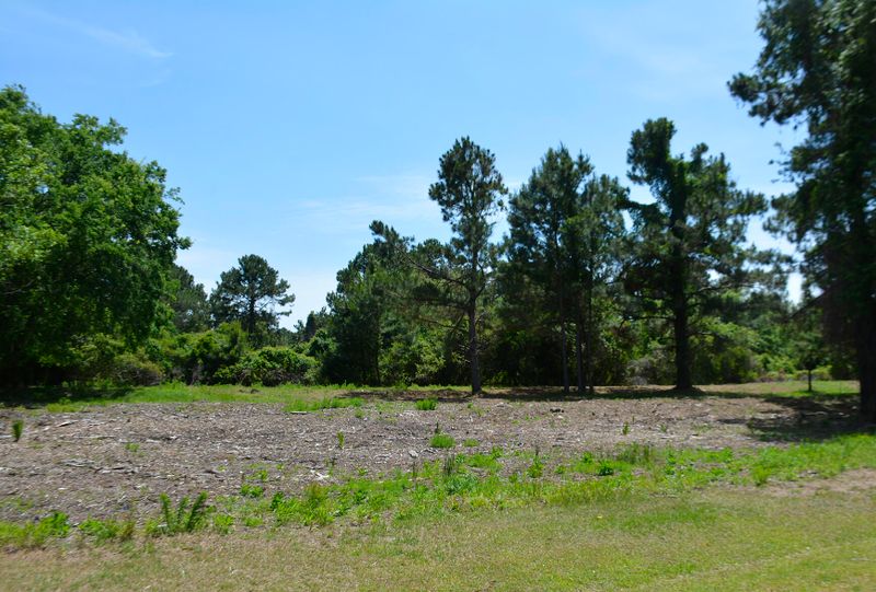 44 Blackbear Dr #44, Edisto Island, SC 29438