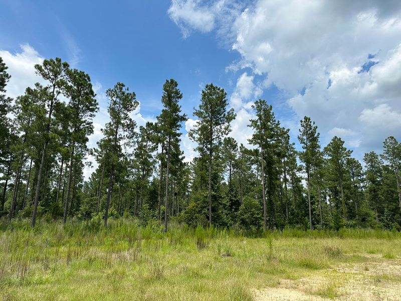 1840 Calamus Pond Rd, Summerville, SC 29483