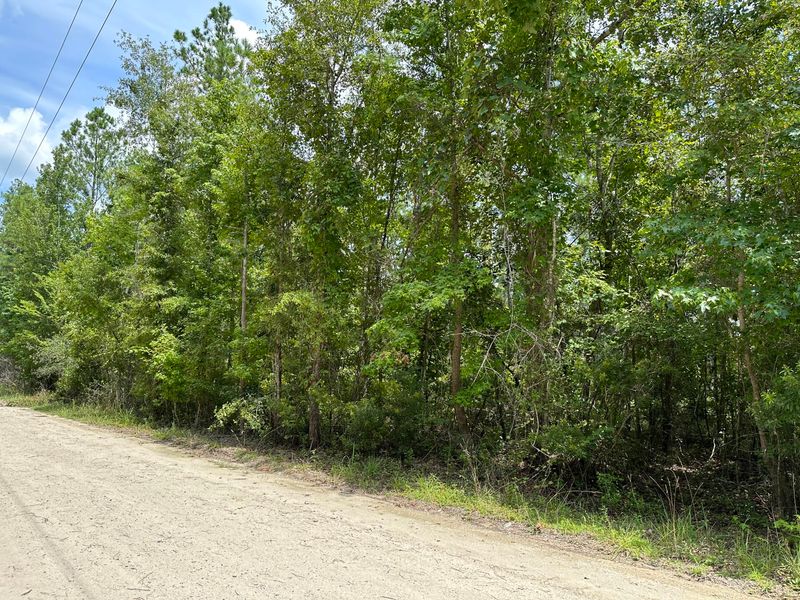 1840 Calamus Pond Rd, Summerville, SC 29483