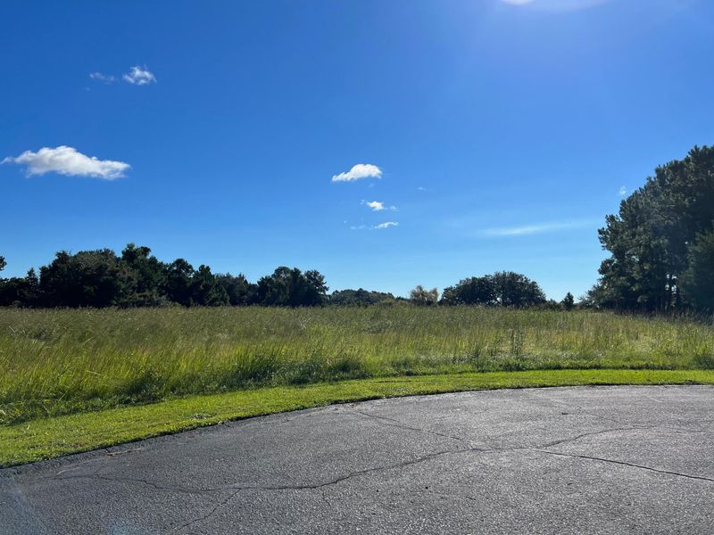 2 Pelican Bay Dr, Awendaw, SC 29429