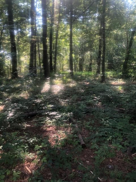 115 Muskie Dr, Summerville, SC 29483
