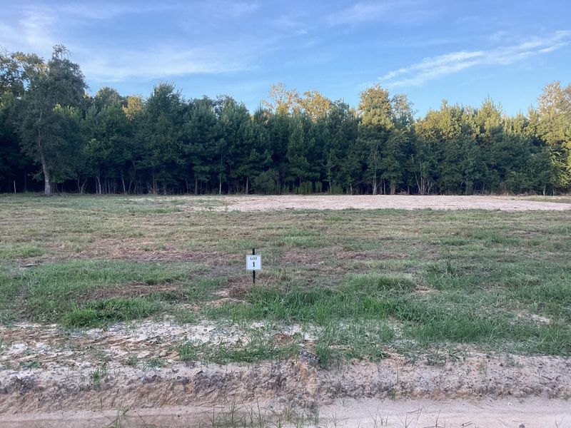 1 Irving Manigault Rd, Mcclellanville, SC 29458