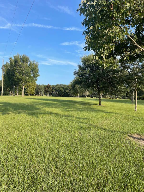 Lot 24 Hopkins Place Rd, Edisto Island, SC 29438