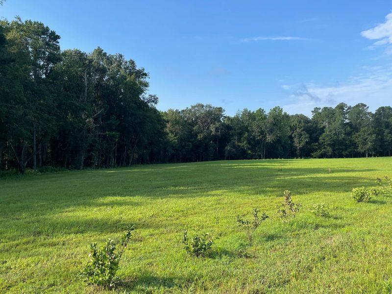 583 High Plains Ct, Ridgeville, SC 29472